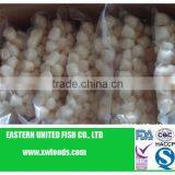 Dried Scallop thumbnail-1