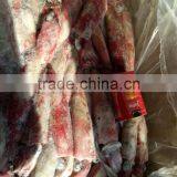 Seafrozen Loligo Chinensis Squid Whole Round thumbnail-2