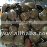 Frozen Whole Raw Clam thumbnail-1