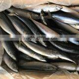 2016 Landing Sea Frozen Mackerel 200-250g thumbnail-1