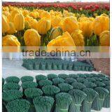 Garden Stakes Wholesale thumbnail-1