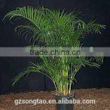Indoor Foliage Artificial Plant Artificial Potted Plants thumbnail-3