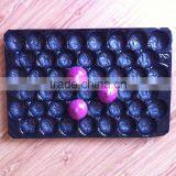 Plastic Corrugated Fruit Tray Liner thumbnail-3