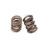 Insecticide Spray Valve Spring