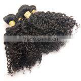 Unprocessed Virign Indian Human Hair Weaves Curly Wholesale Kinky Curly Indian Hair Extensions thumbnail-3