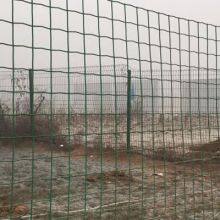 Welded Holland Fence, 2′ ′ *4′ ′ , Green Color thumbnail-3