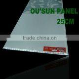 The Most Popular PVC False Ceiling Designs With 25cm