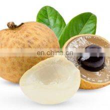 100% NATURAL BEST SELLER DRIED LONGAN FRUIT PRODUCT FROM VIET NAM thumbnail-2