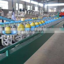Automatic Apple Orange Peach Tomato Avocado Potato Grading Fruit Sorting Machine thumbnail-4