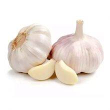 Cauliflower, Broccoli,carrots,sweet Corn, Garlic Frozen Vegetables thumbnail-3