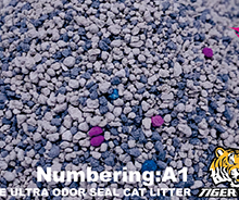 Dalian Songsen Products Co., Ltd. company overview - view 3 thumbnail