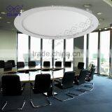 Small Circular Down Light LED/Decorative Downlight