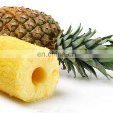 High Quality Pineapple Processing Machine for Peeling Cutting Slicing thumbnail-5