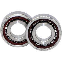 80bnr19xe Angular Contact Ball Bearings Rpm Output Speed and Worm Gearing Arrangement Single Axis Slewing Drive thumbnail-5