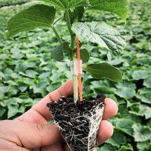 Silicone Grafting Tube Clips Use for Tomato Grafting 1.2-3mm Horticultural Silicone Grafting Clip thumbnail-2