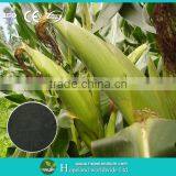 Agricutural Staw Decay Agent thumbnail-3