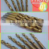 OEM 10mm Straight Shank DIN 338 Fully Ground Hss Twist Drill Bits for Metal Drilling thumbnail-1