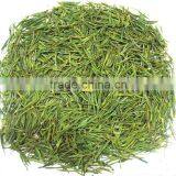 Top Quality Weight Loss Tea China Famous Anjibaicha White Tea Green Tea thumbnail-2