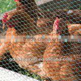 High Zinc-Coated Chicken Runs & Poultry Hexaganal Fencing(factory in Guangzhou)