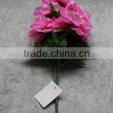 Home Decoration 5 Heads Silk Peony Flowers Wholesale thumbnail-2