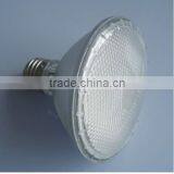 LED Light (PAR30) thumbnail-1