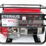 Gasoline Generator Set BH8000DX