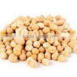 Perfect Grade A Kabuli Chickpeas For Sale thumbnail-1