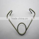 Flowering Torsinal Spring