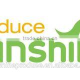 DRIED GOJI BERRY thumbnail-3