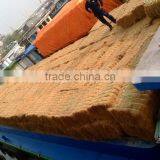 Coconut Fiber - QQ : 2598494113 thumbnail-6