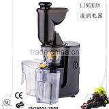 Big Mouth Slow Juicer