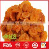 Dried Apricots With High Quality From China thumbnail-6