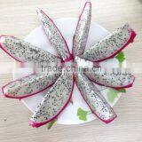 Dragon Fruit thumbnail-1
