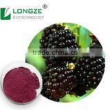 Good Water Soluble Anti-oxidant Blackberry Extract Powder with Anthocyanidins 25% ,Anthocyanins 1-25%