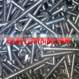 ASTM F55 en 1.4501 Stainless Steel fastener hex bolt S32760 hex nut Zeron100