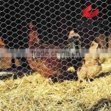 Chicken Feeding Mesh/ Rabbit Feeding Mesh/Hexagonal Wire Mesh