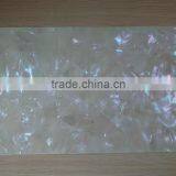 Natural Whitelip Shell Paper Nail Art,Price Of Mother Of Pearl Veneer