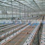 Glasshouse for Vegetable or Flower thumbnail-2