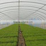 Single Layer Poly Film Greenhouse (ISO9001:2000) thumbnail-1