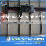 Bird Cage Galvanzied Welded Wire Mesh
