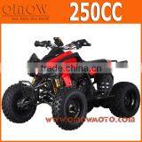 Best Selling 250cc Sport ATV thumbnail-1