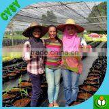 Cheap Wholesale Plant Nursery Plastic Bag thumbnail-2