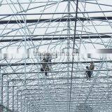 Multi Span Plastic Roofing Sheets Agricultural Commercial Greenhouses for Sale thumbnail-4