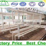 Hydroponic Systems Greenhouse for Agriculture thumbnail-3