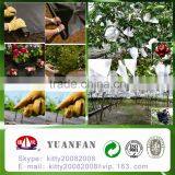 China Polypropylene Nonwoven Fabric , Weed Control,grape Cover thumbnail-4