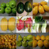 SJH1492906 Fruit and Vegetable Christmas Decoration Plastic Fruit and Vegetables for Kids Decorative Artificial Fruit