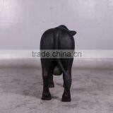 Definitive Angus Looking Right thumbnail-5