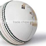 T-20 Cricket Balls thumbnail-1