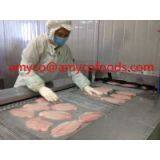Tilapia Fillet Cage Farmed thumbnail-2
