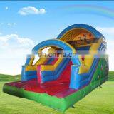 Monkey Inflatable Slide